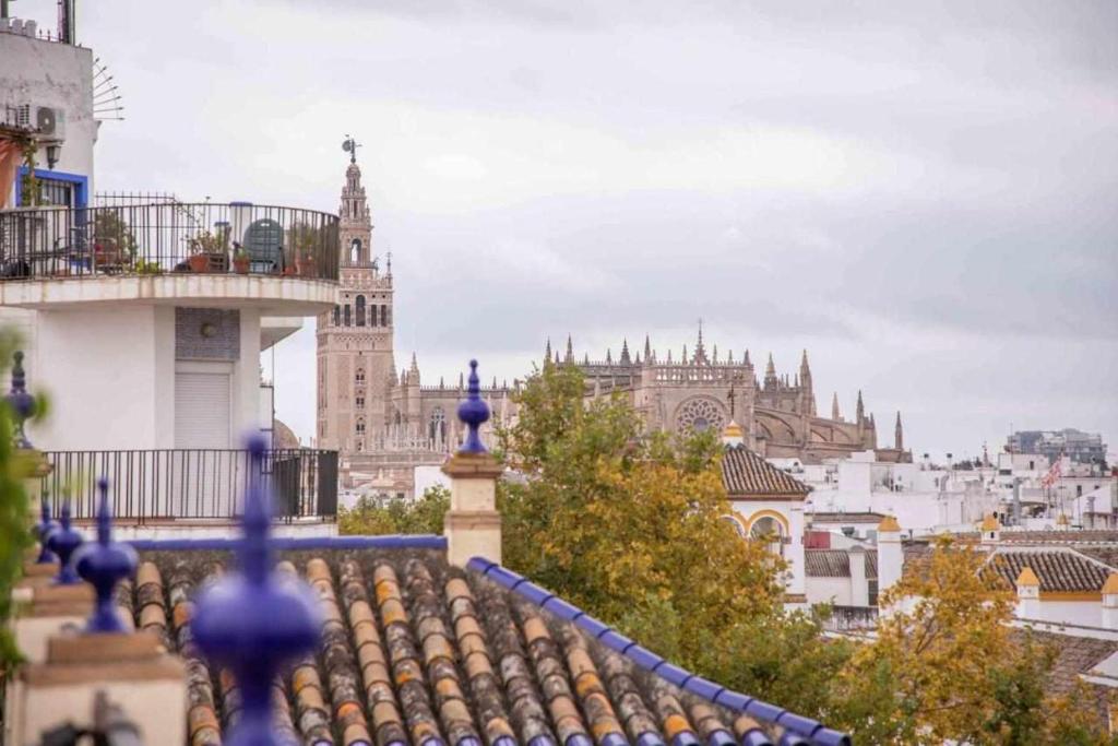 Monkeys Luxury Adriano Terrace