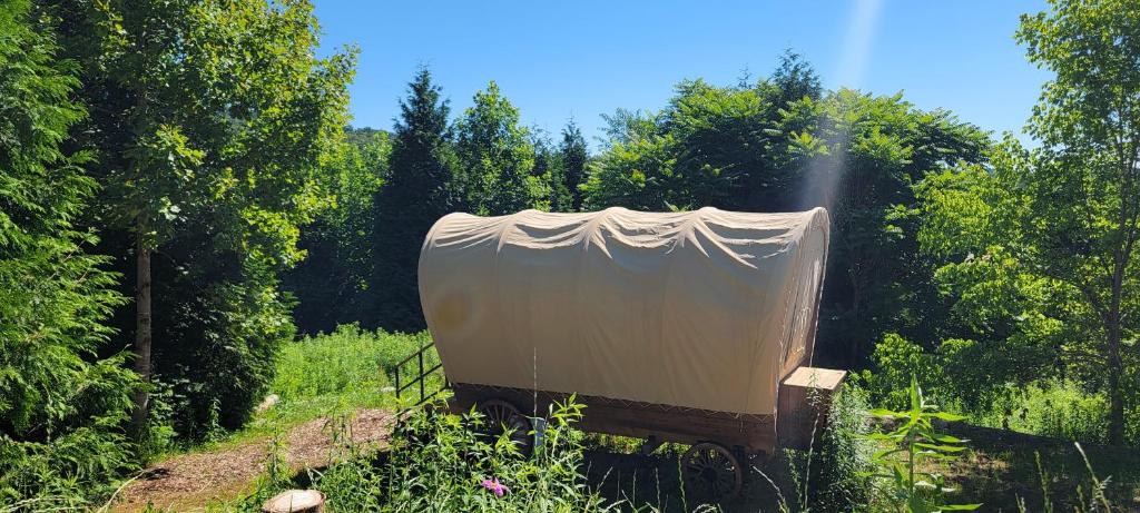 Covered Wagons Hill Camp - WAGON 4